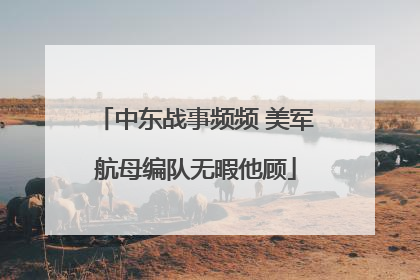 中东战事频频 美军航母编队无暇他顾
